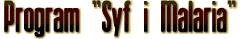Program Syf i Malaria